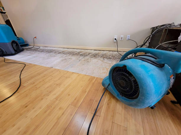 Professional Basement Flood Cleanup technician working in Powell, WY